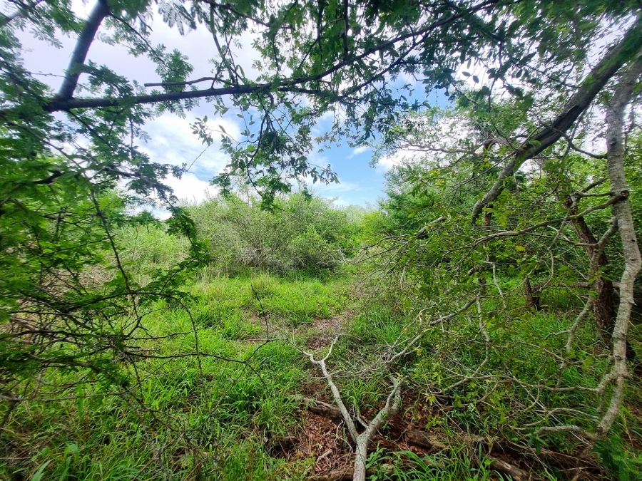 0 Bedroom Property for Sale in Moditlo Wildlife Estate Limpopo