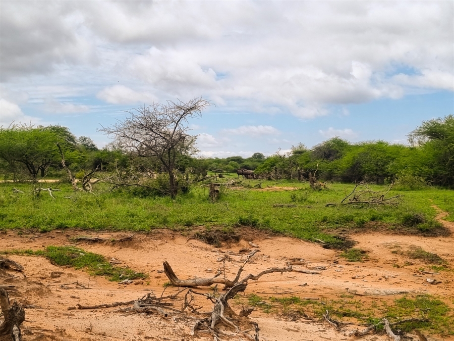 0 Bedroom Property for Sale in Moditlo Wildlife Estate Limpopo