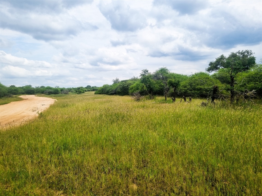 0 Bedroom Property for Sale in Moditlo Wildlife Estate Limpopo