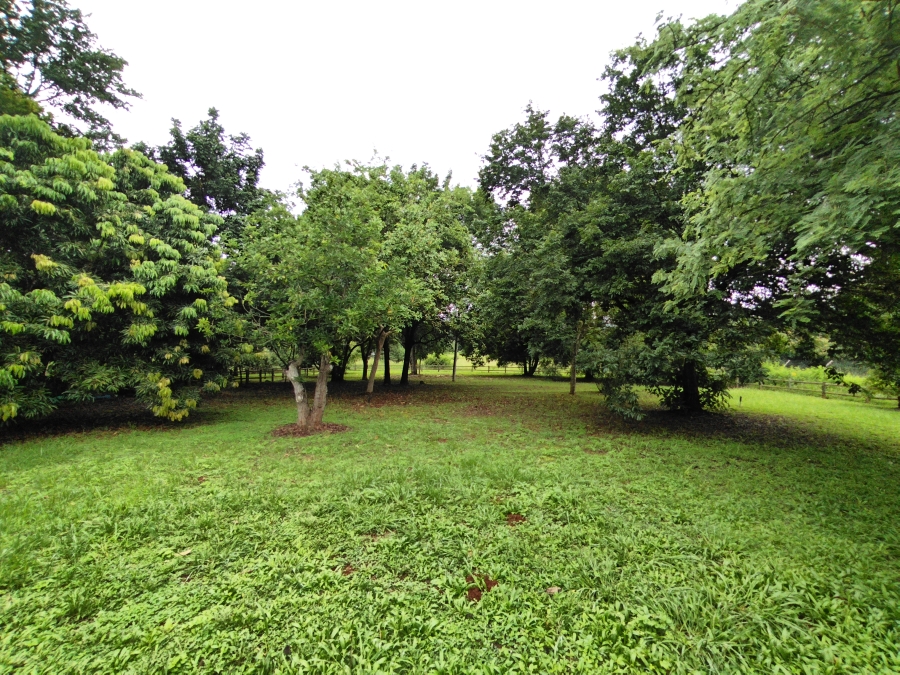 3 Bedroom Property for Sale in Doornhoek Equestrian Estate Limpopo