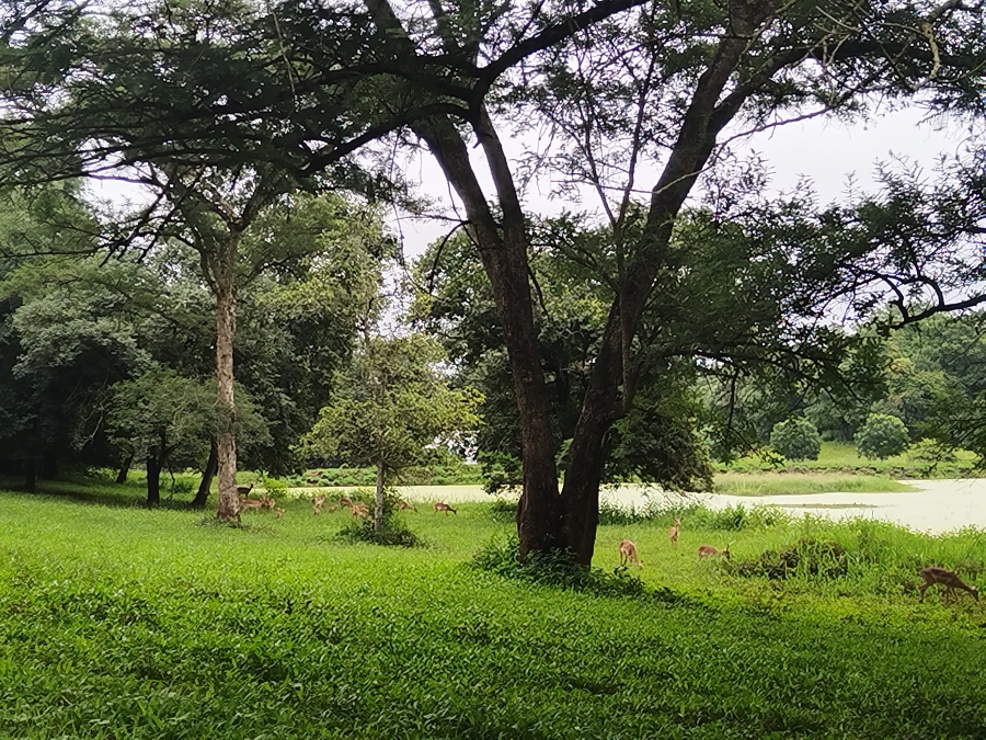 3 Bedroom Property for Sale in Doornhoek Equestrian Estate Limpopo