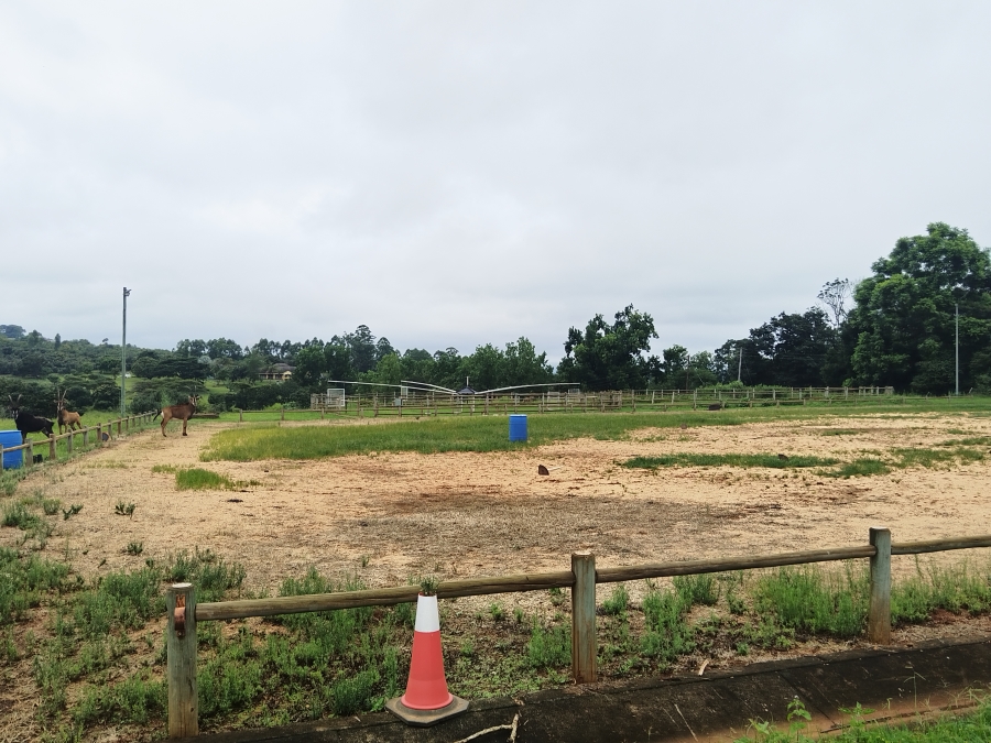 3 Bedroom Property for Sale in Doornhoek Equestrian Estate Limpopo