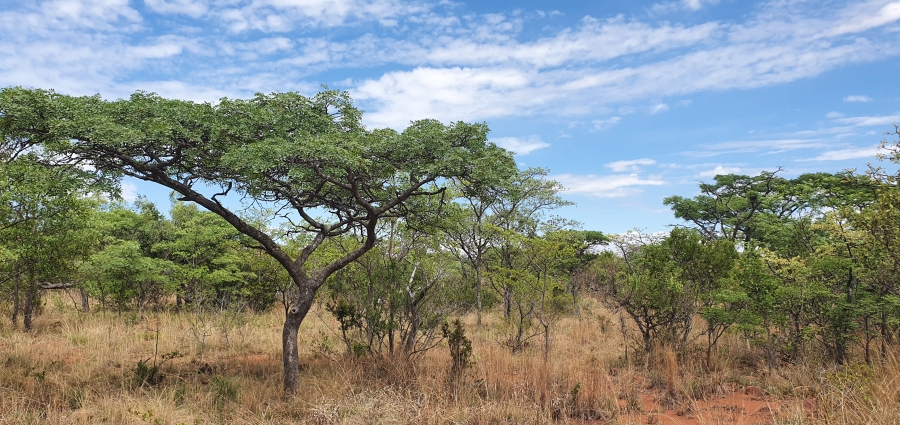 0 Bedroom Property for Sale in Nylsoog Wind and Eco Estate Limpopo