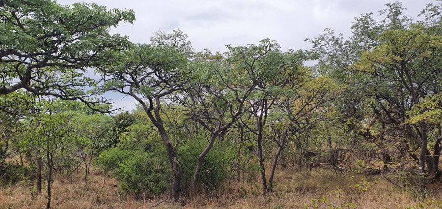 0 Bedroom Property for Sale in Nylsoog Wind and Eco Estate Limpopo