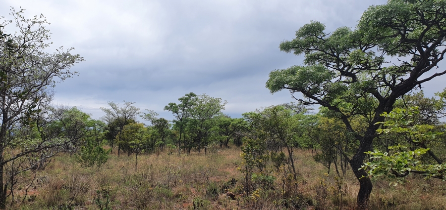 0 Bedroom Property for Sale in Nylsoog Wind and Eco Estate Limpopo