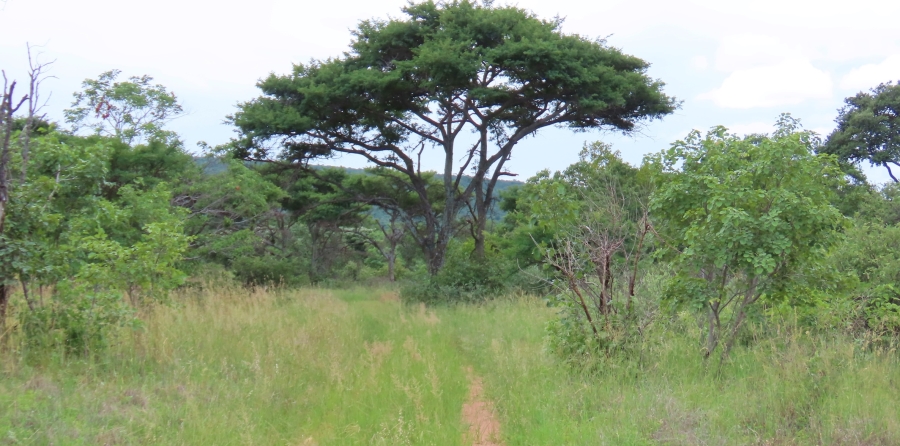 6 Bedroom Property for Sale in Vaalwater Limpopo