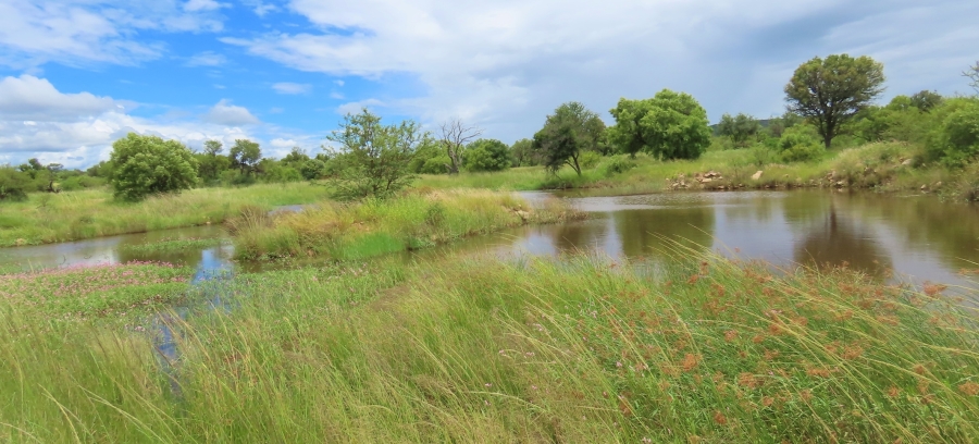 6 Bedroom Property for Sale in Vaalwater Limpopo