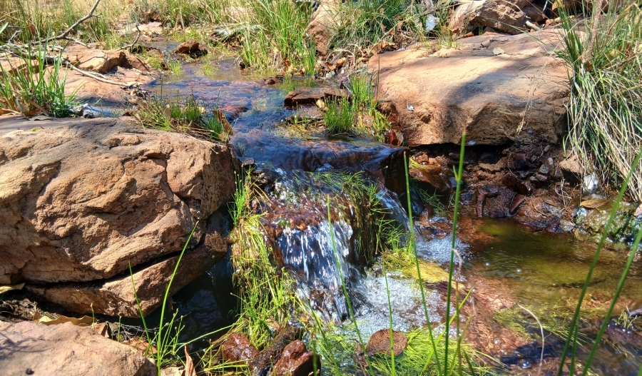 10 Bedroom Property for Sale in Lephalale Limpopo