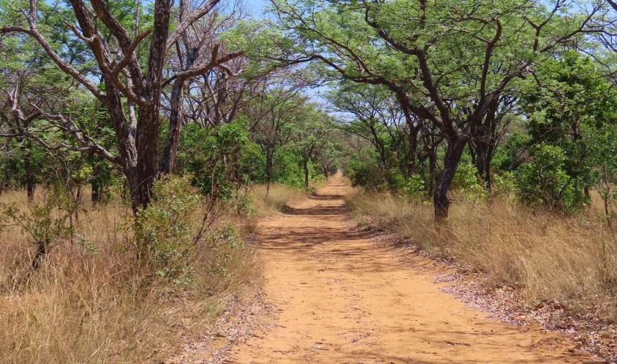 10 Bedroom Property for Sale in Lephalale Limpopo