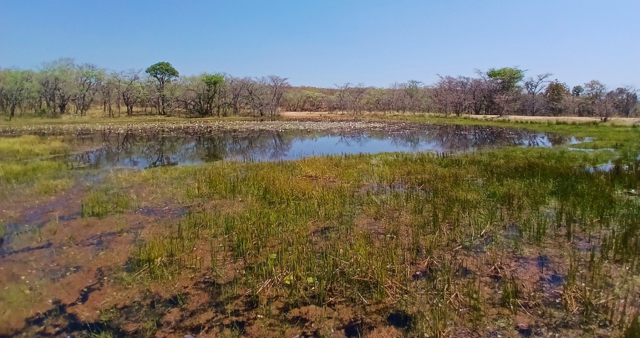 10 Bedroom Property for Sale in Lephalale Limpopo