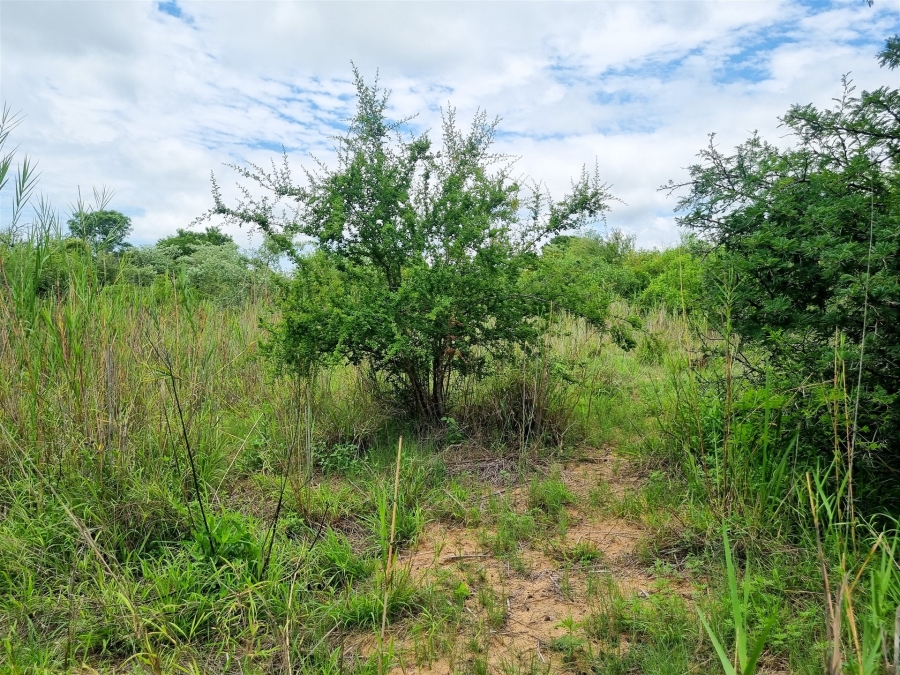 0 Bedroom Property for Sale in Moditlo Wildlife Estate Limpopo