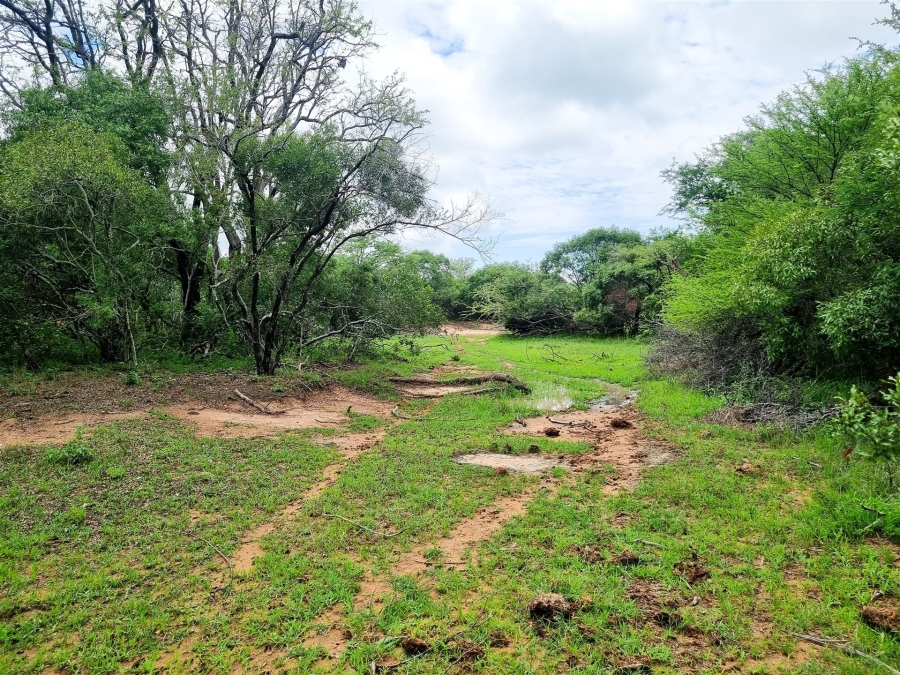 0 Bedroom Property for Sale in Moditlo Wildlife Estate Limpopo
