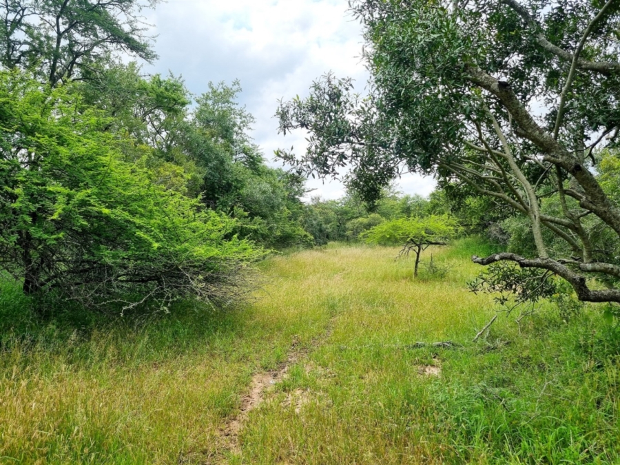 0 Bedroom Property for Sale in Moditlo Wildlife Estate Limpopo