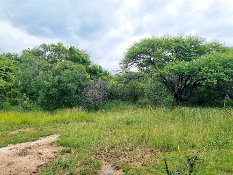 0 Bedroom Property for Sale in Moditlo Wildlife Estate Limpopo