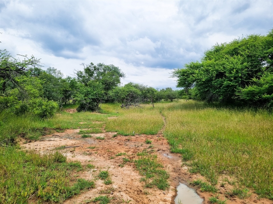 0 Bedroom Property for Sale in Moditlo Wildlife Estate Limpopo
