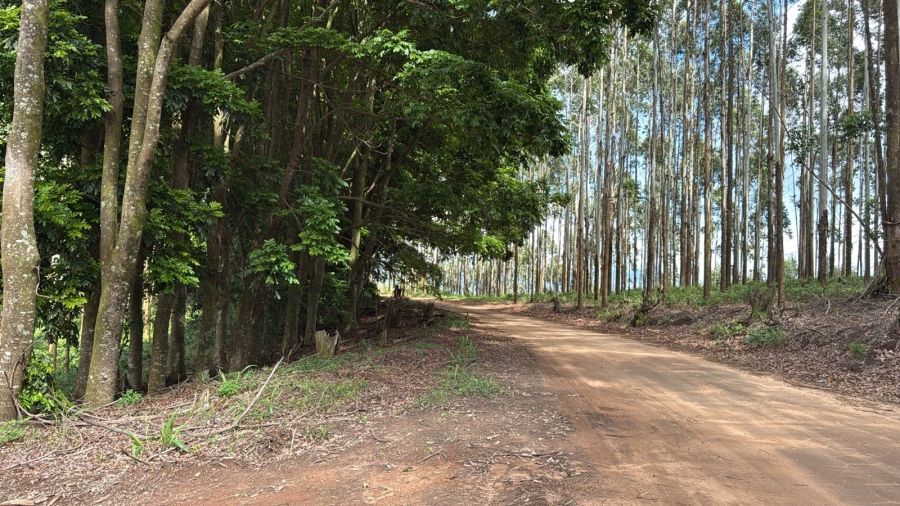 Commercial Property for Sale in Agatha Park Limpopo