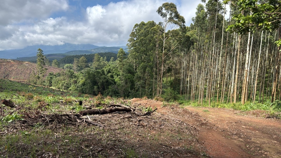 Commercial Property for Sale in Agatha Park Limpopo