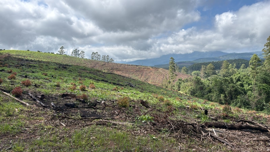 Commercial Property for Sale in Agatha Park Limpopo