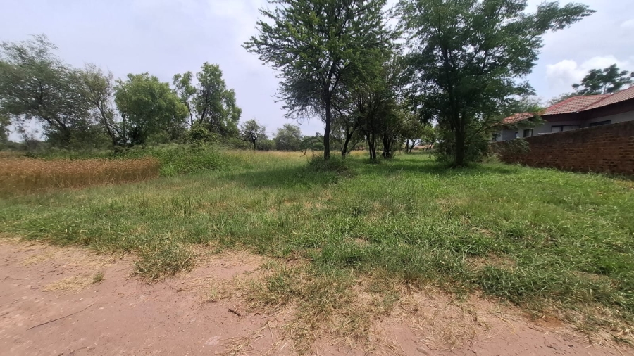 0 Bedroom Property for Sale in Bela Bela Limpopo