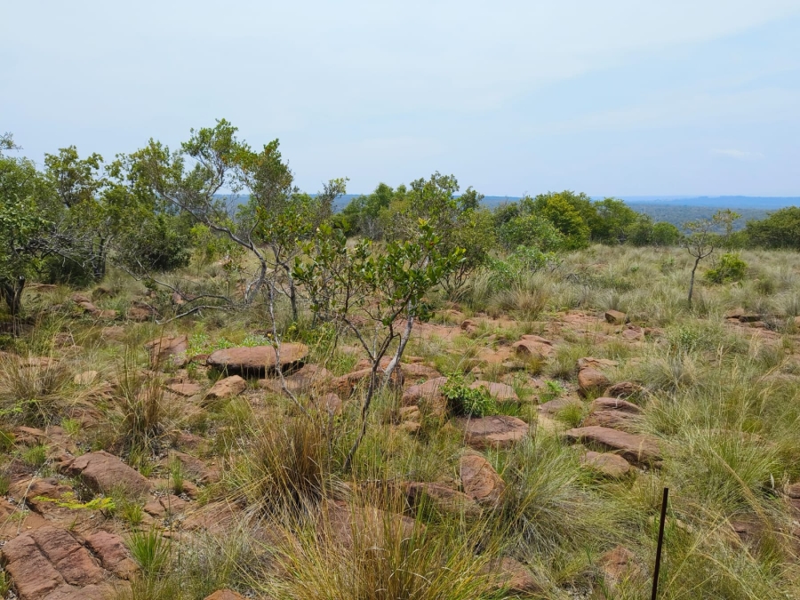 0 Bedroom Property for Sale in Bela Bela Limpopo