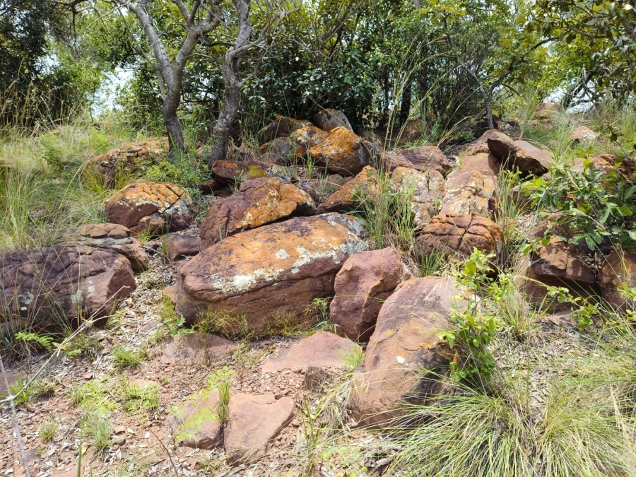 0 Bedroom Property for Sale in Bela Bela Limpopo