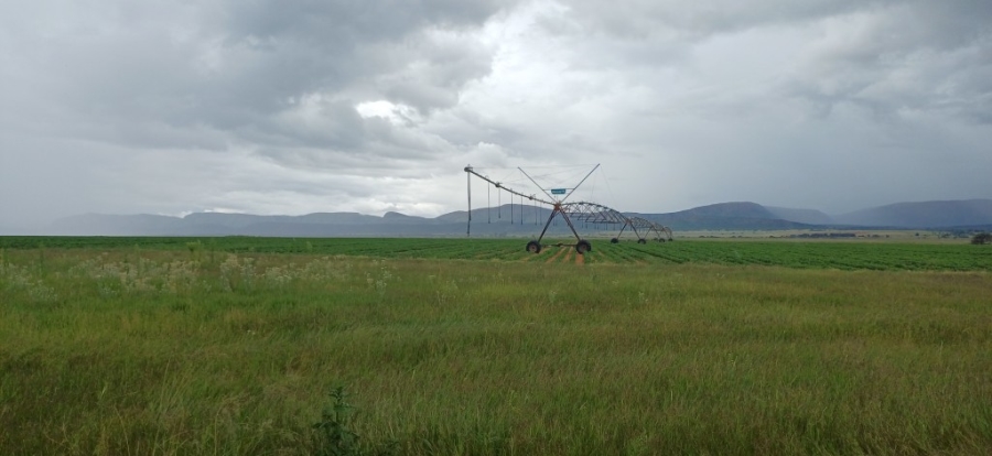 Commercial Property for Sale in Alma Limpopo