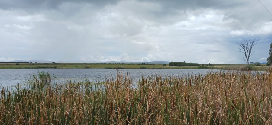 Commercial Property for Sale in Alma Limpopo