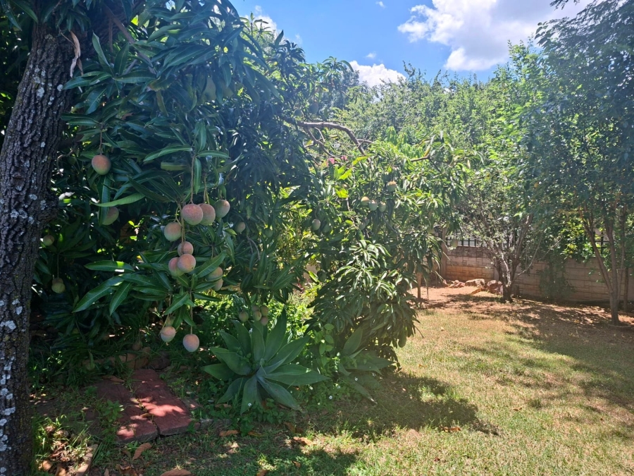 3 Bedroom Property for Sale in Bela Bela Limpopo