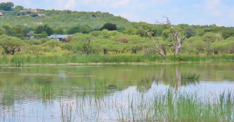 15 Bedroom Property for Sale in Vaalwater Limpopo