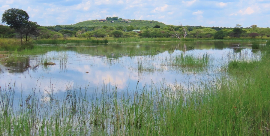 15 Bedroom Property for Sale in Vaalwater Limpopo