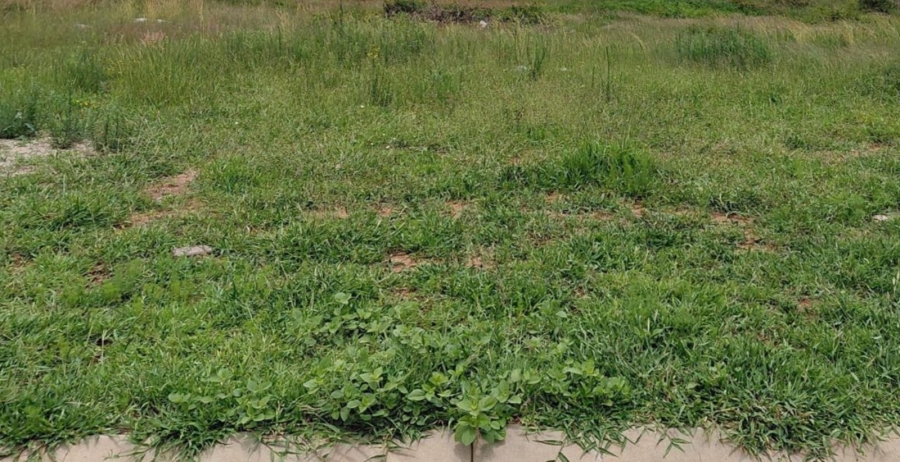 0 Bedroom Property for Sale in Bendor Limpopo