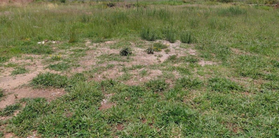 0 Bedroom Property for Sale in Bendor Limpopo