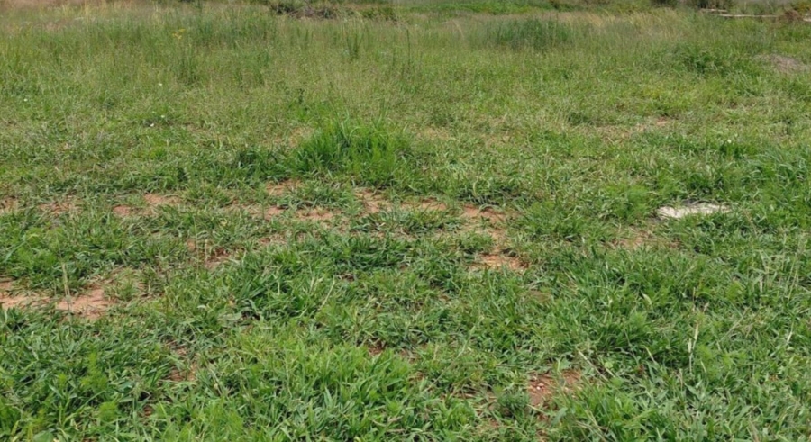 0 Bedroom Property for Sale in Bendor Limpopo