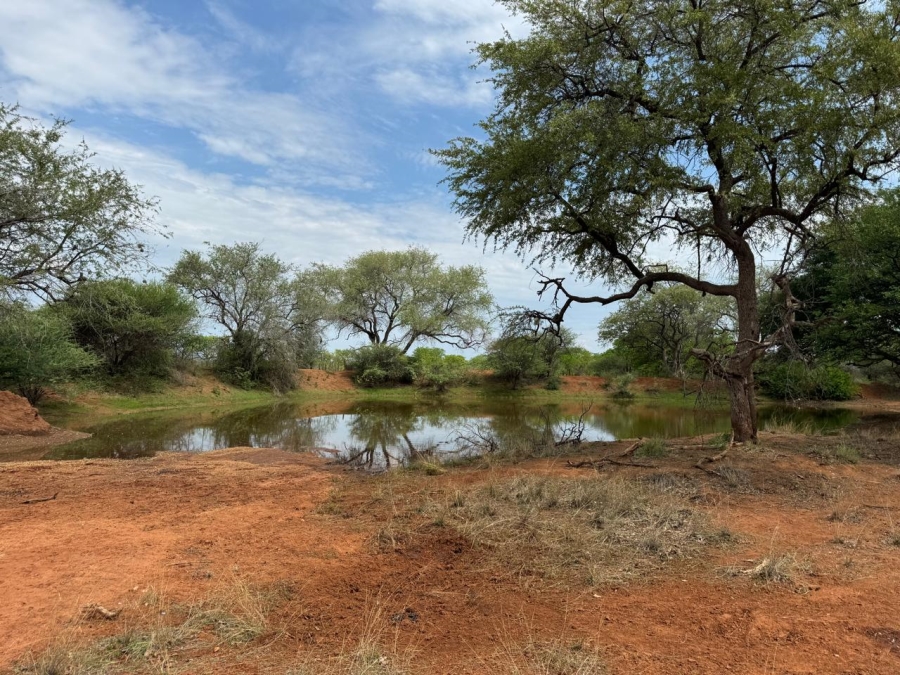 Commercial Property for Sale in Alldays Limpopo