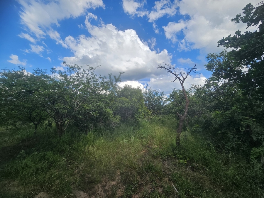 0 Bedroom Property for Sale in Moditlo Wildlife Estate Limpopo