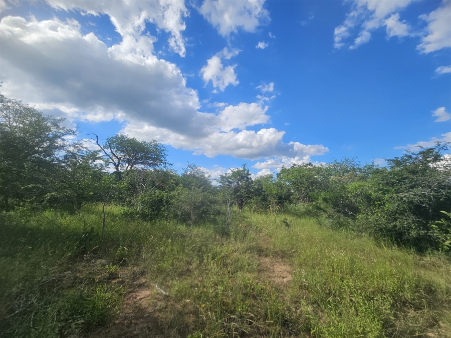0 Bedroom Property for Sale in Moditlo Wildlife Estate Limpopo
