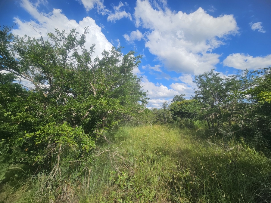 0 Bedroom Property for Sale in Moditlo Wildlife Estate Limpopo