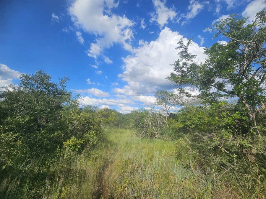 0 Bedroom Property for Sale in Moditlo Wildlife Estate Limpopo