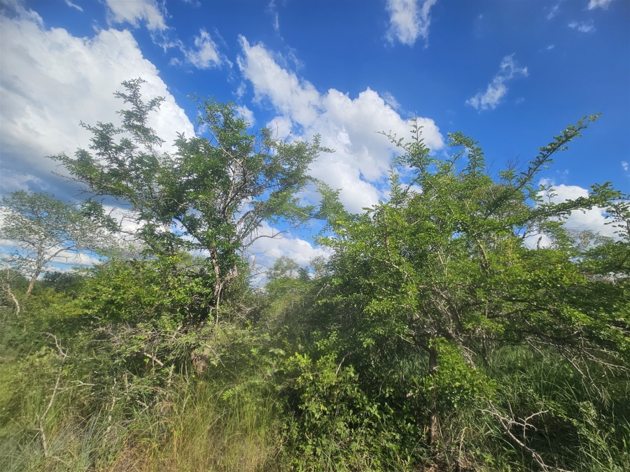 0 Bedroom Property for Sale in Moditlo Wildlife Estate Limpopo