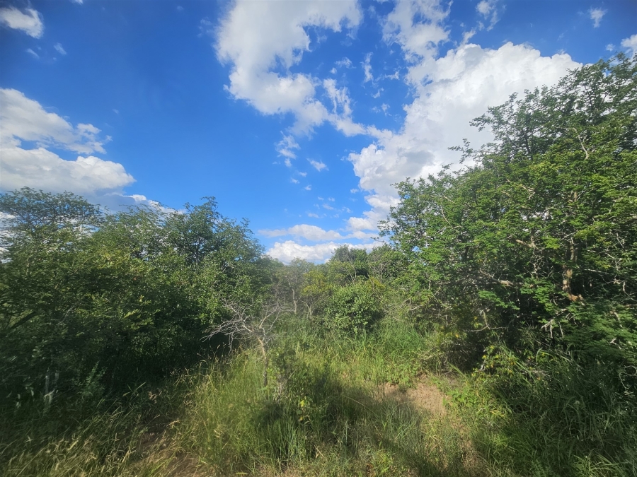 0 Bedroom Property for Sale in Moditlo Wildlife Estate Limpopo