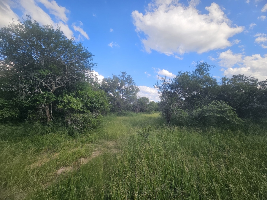 0 Bedroom Property for Sale in Moditlo Wildlife Estate Limpopo