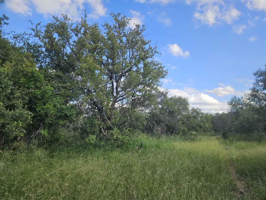 0 Bedroom Property for Sale in Moditlo Wildlife Estate Limpopo