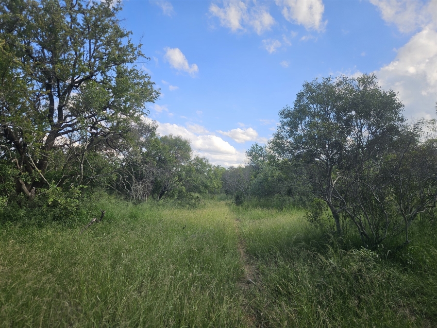 0 Bedroom Property for Sale in Moditlo Wildlife Estate Limpopo