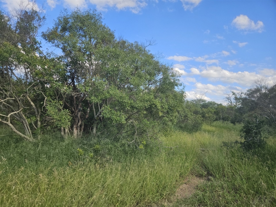 0 Bedroom Property for Sale in Moditlo Wildlife Estate Limpopo