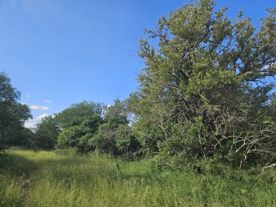 0 Bedroom Property for Sale in Moditlo Wildlife Estate Limpopo