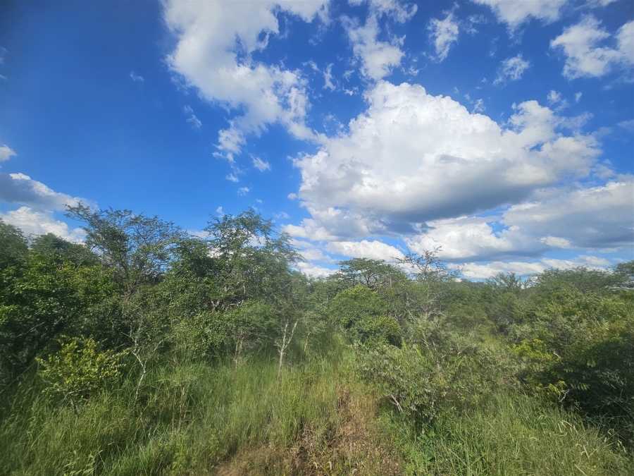 0 Bedroom Property for Sale in Moditlo Wildlife Estate Limpopo