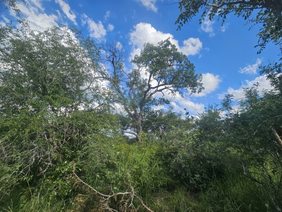 0 Bedroom Property for Sale in Moditlo Wildlife Estate Limpopo