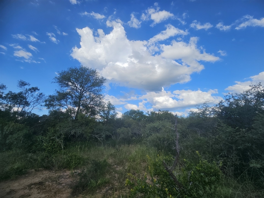 0 Bedroom Property for Sale in Moditlo Wildlife Estate Limpopo