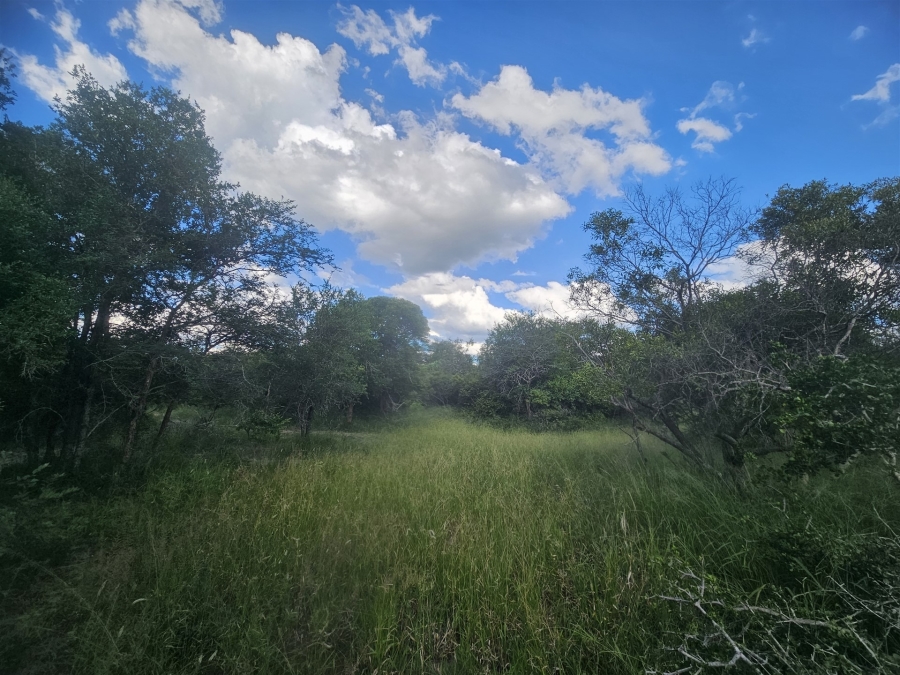 0 Bedroom Property for Sale in Moditlo Wildlife Estate Limpopo