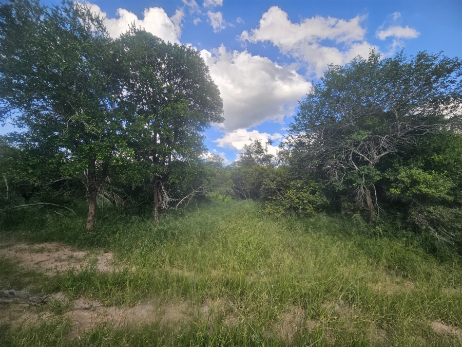 0 Bedroom Property for Sale in Moditlo Wildlife Estate Limpopo